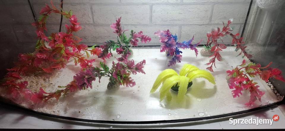 Akwarium i terarium 60 litrów profilowe Ryby