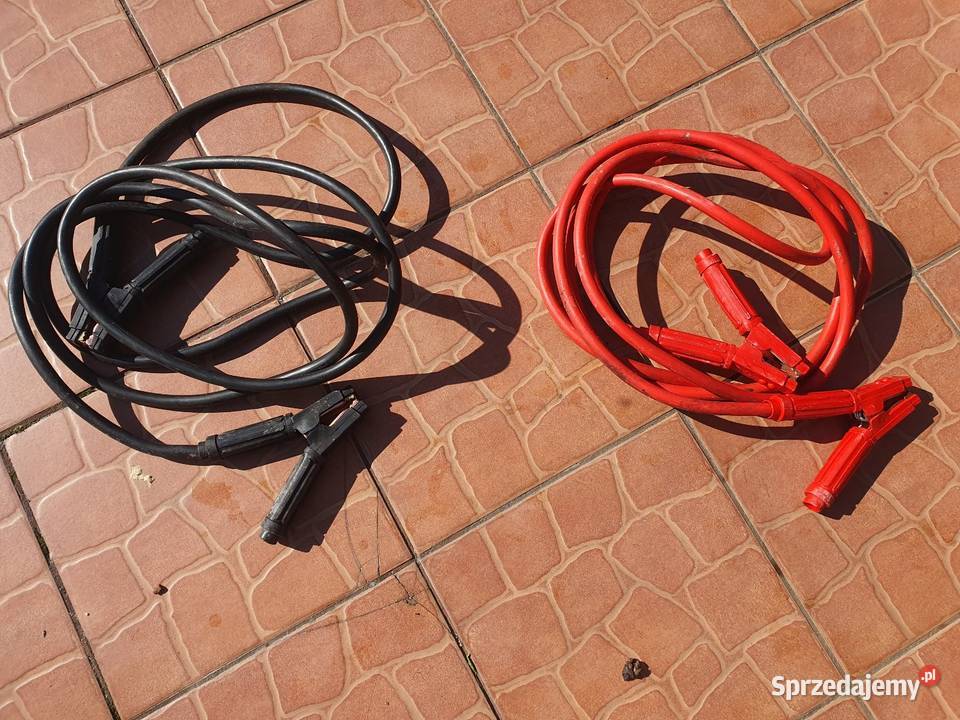 Przewody rozruchowe śląskie Cisiec