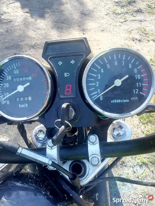 chińczyk chinol 5072 Kraśnik