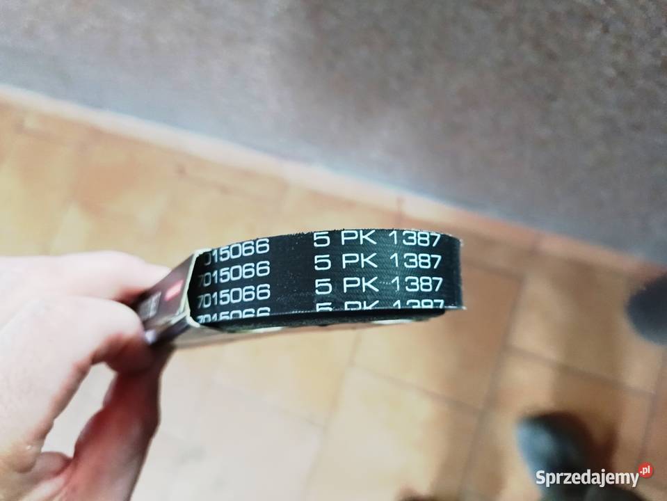 Kamoka 7015066 Pasek klinowy wielorowkowy Wilamów-Parcela