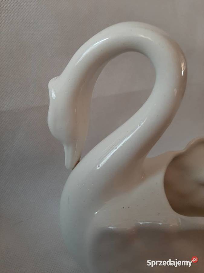 Uroczy porcelanowy łabędź z miejscem na Inowrocław