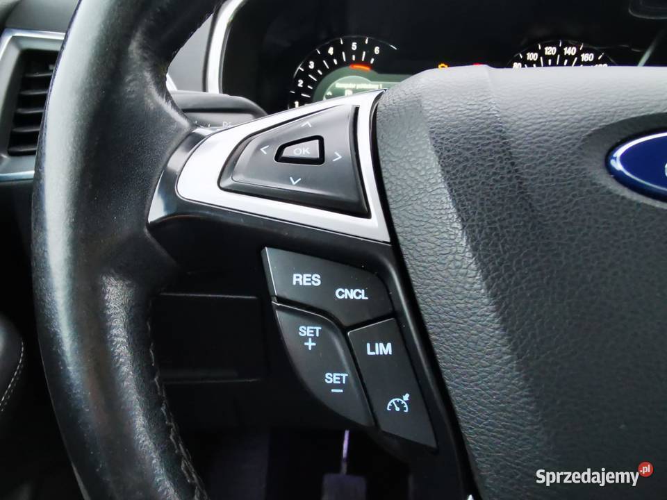 7 Miejsc Manual 20 EcoBlue 190 Salon Polska2