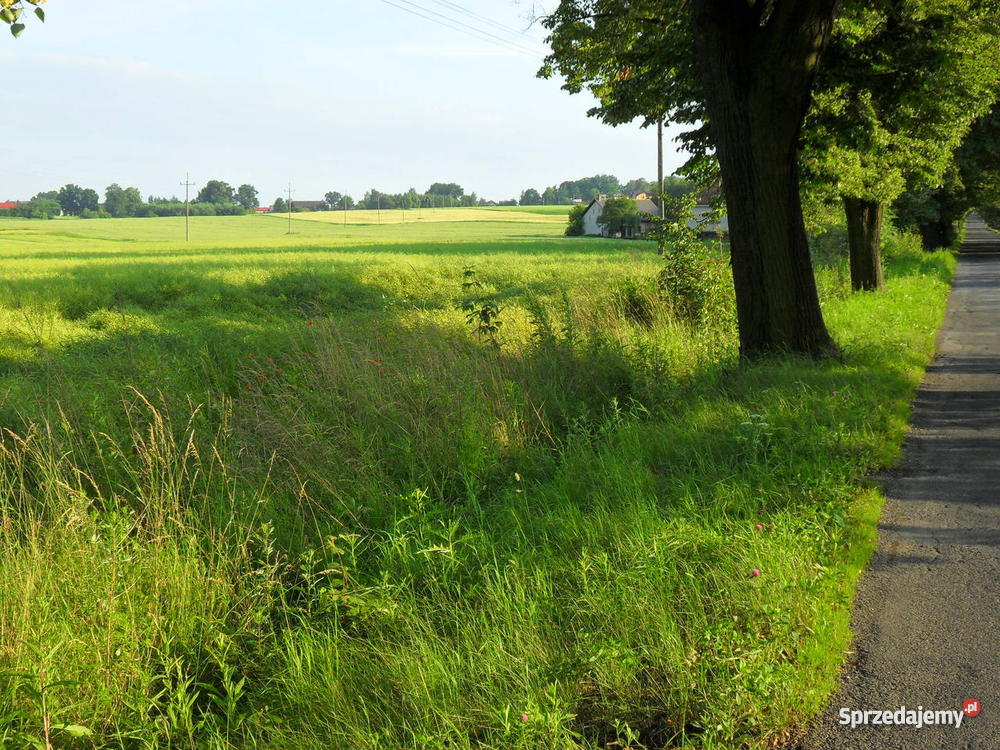 Działka budowlana PRUCHNA