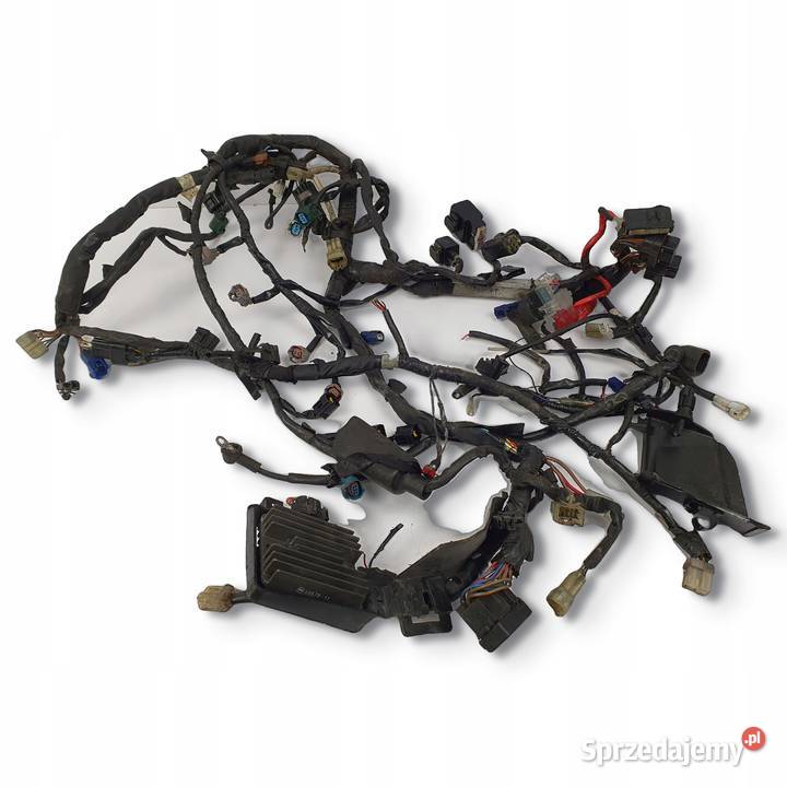 WIĄZKA ELEKTRYCZNA Yamaha YZFR6 R6 RJ11 0607 Chełm