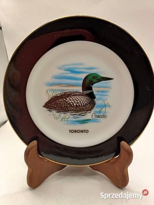 Talerz z Canady Toronto ptak kaczka Zamość