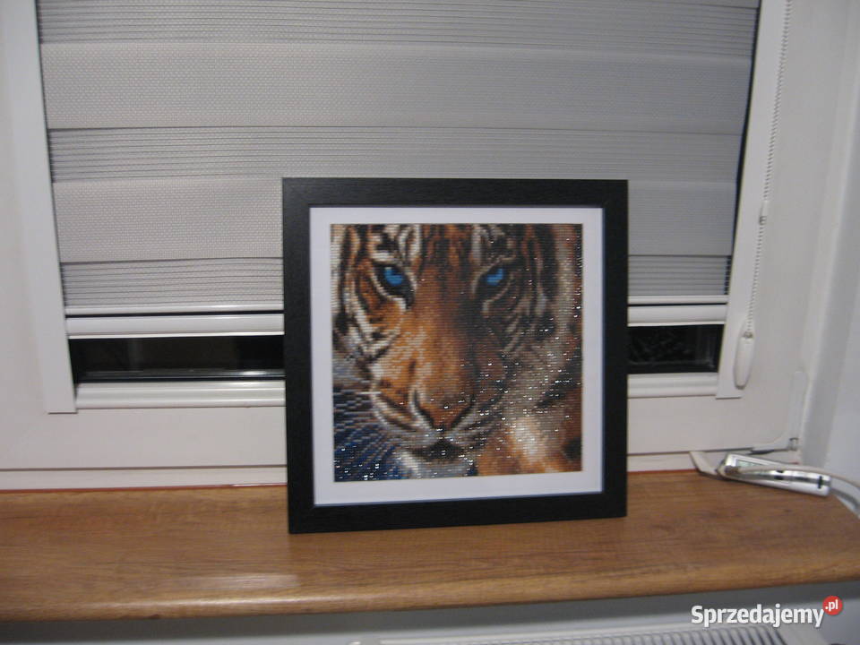 Obrazek haft diamentowy Tygrys Rękodzieło