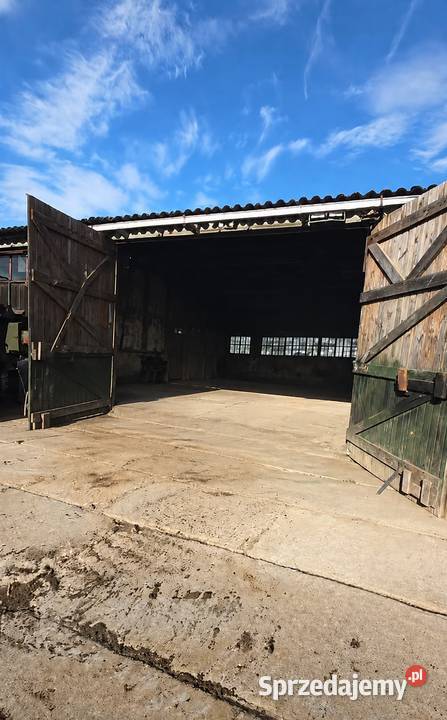 Hala hangar 856 m lotnisku i Międzynarodowym Borne Sulinowo sprzedam
