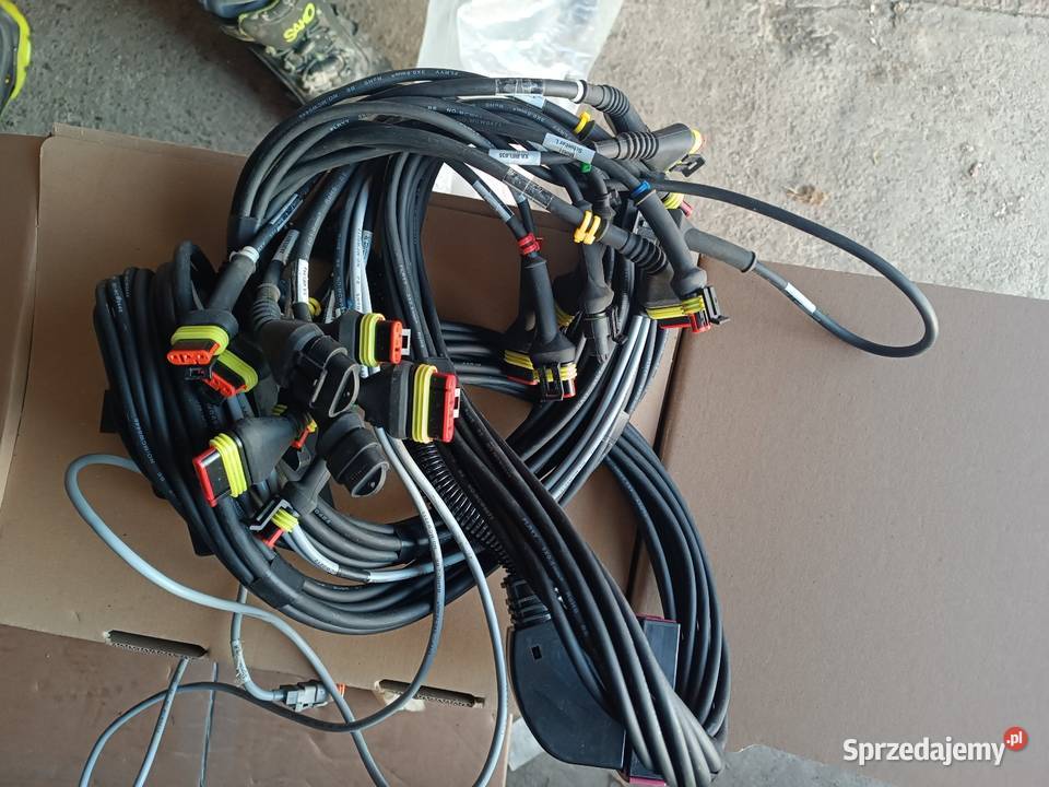 Wiązka Amazone TS NL1249 pomorskie Gręblin