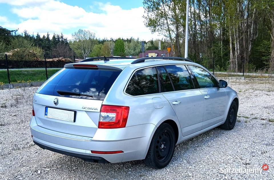 Skoda Octavia 2019 20 TDI 150 Rok produkcji 2019 Busko-Zdrój
