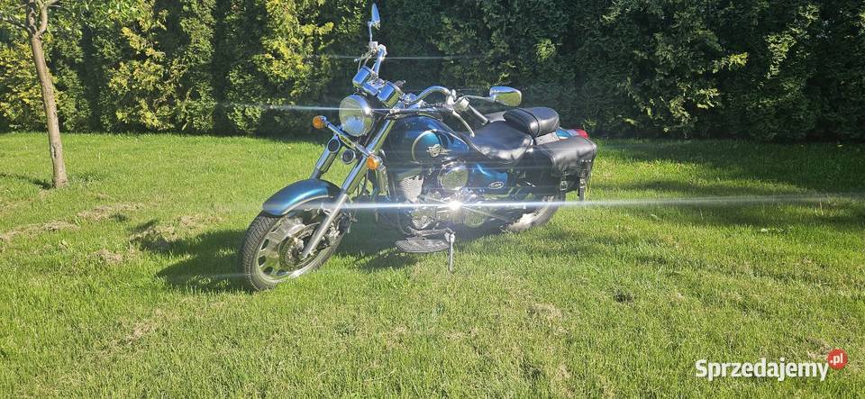DAELIM DAYSTAR VL125 Daelim wielkopolskie Krajenka