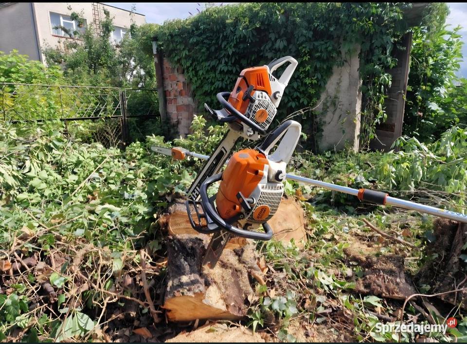 Koszenie trawy karczowanie zarośli wycinka drzew