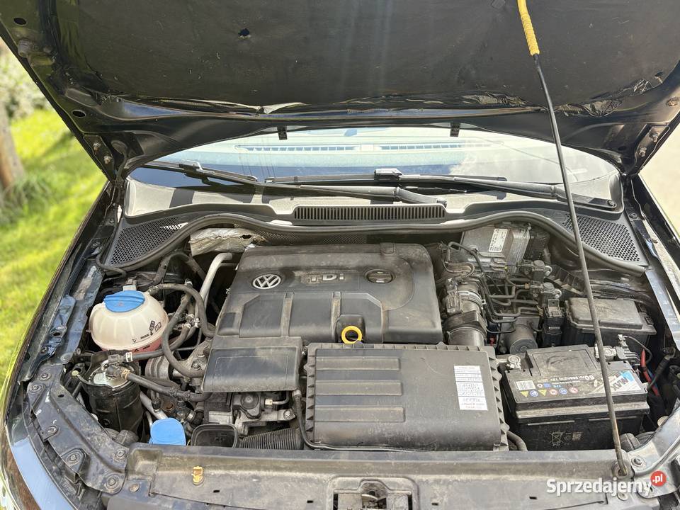 Volkswagen Polo V 2015r 14TDI Gubin