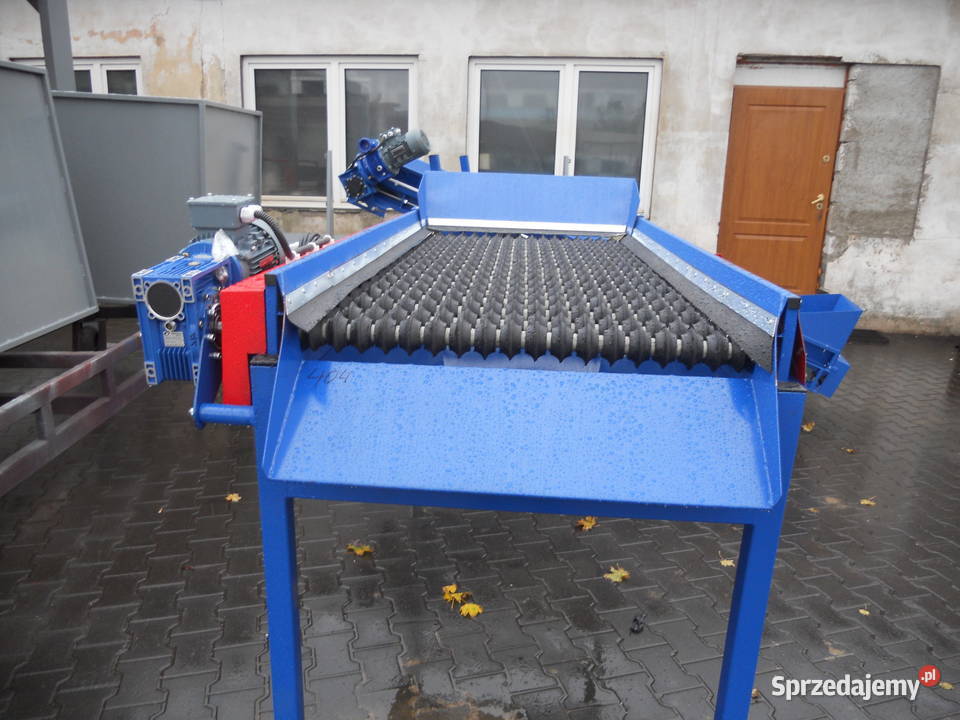 Sortownik przepływowy Separator Ziemniak Cebula Środa Wielkopolska