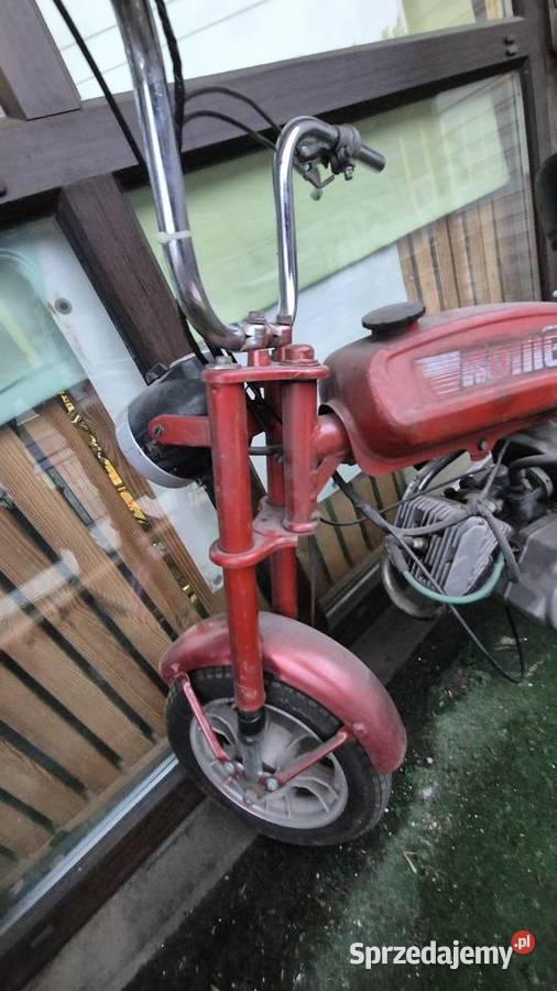 Motorynka pony 301