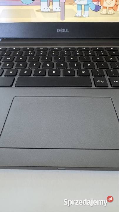Dell Chromebook 7310 matrca Fullhd 13 sklep Play Dell Żory