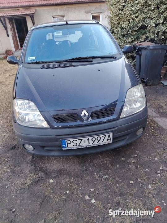 Scenic 16 LPG wielkopolskie Szamotuły