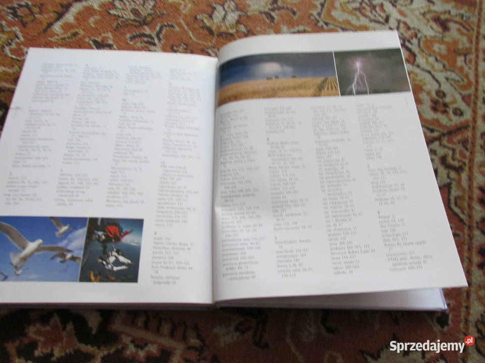 SŁOWNIK SNÓW dlaczego śnimy Książki naukowe i popularnonaukowe Bytom