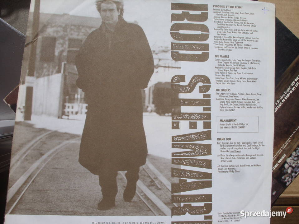 Winyl lp Rock ROD STEWARTHERE TO ETERNITY Warner Wołów