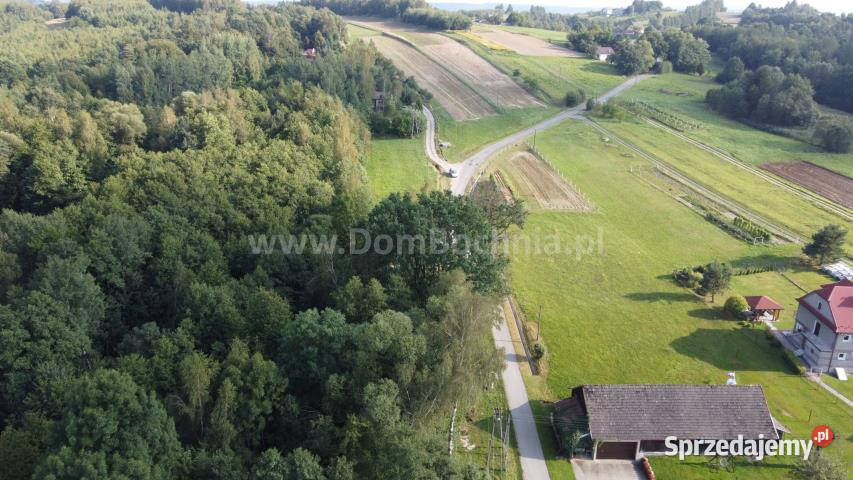 Grunt 4100m2 Łomna 4000m2 Sprzedaż