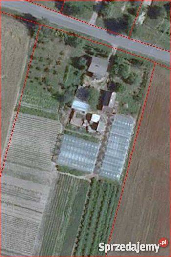 dom do sprzedania Czerniejewo 240m Domy wielkopolskie