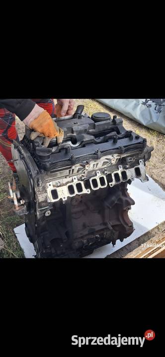 Blok silnika Transita Custom 2015 czesci Poznań