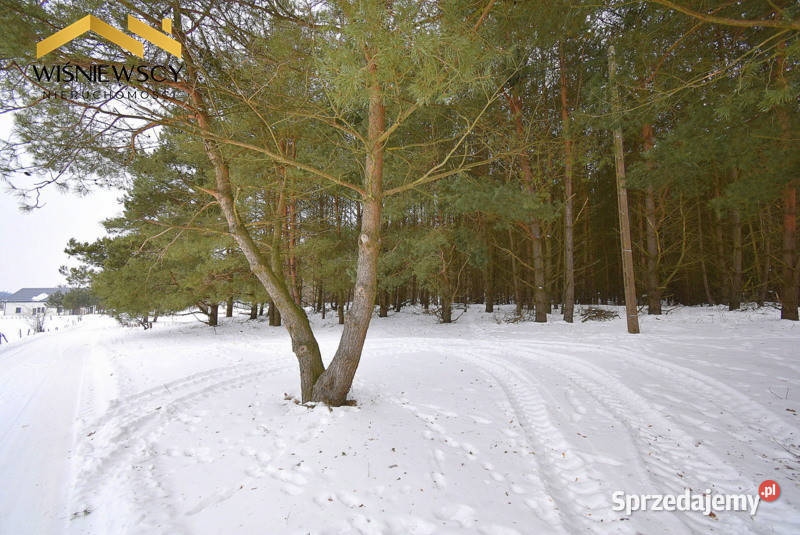Działka budowlana 3002m2 uzbrojona z lasem Kiersztanowo