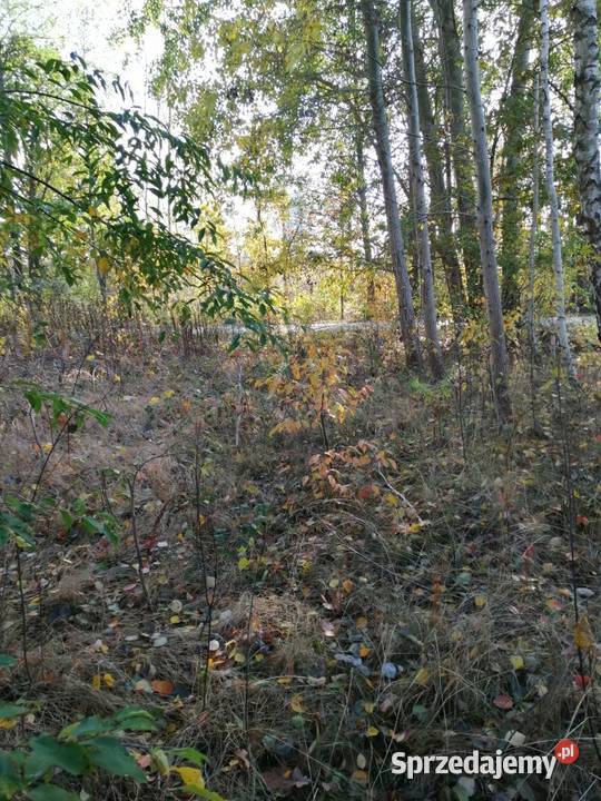 Syndyk sprzeda nieruchomość gruntową w Kukawkach Kukawki