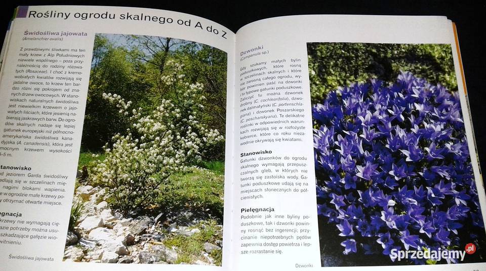 Ogród skalny Peter Himmelhuber