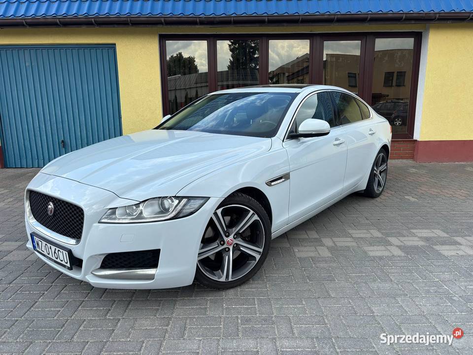Jaguar XF 20d 2015r Biała Perła OKAZJA 1999cm3 Jaguar Zamość