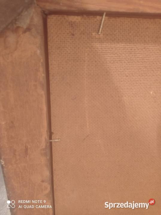 Obraz na sklejce w złotej ramie 67 x 545 zachodniopomorskie Szczecin