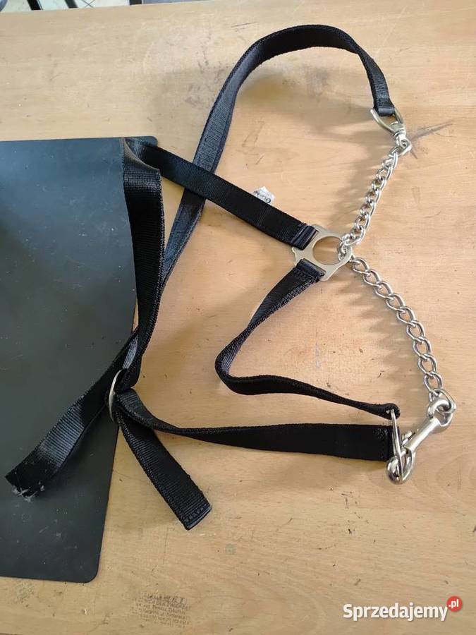 KANTAR BYDŁA Z ŁAŃCUSZKIEM Kazanów