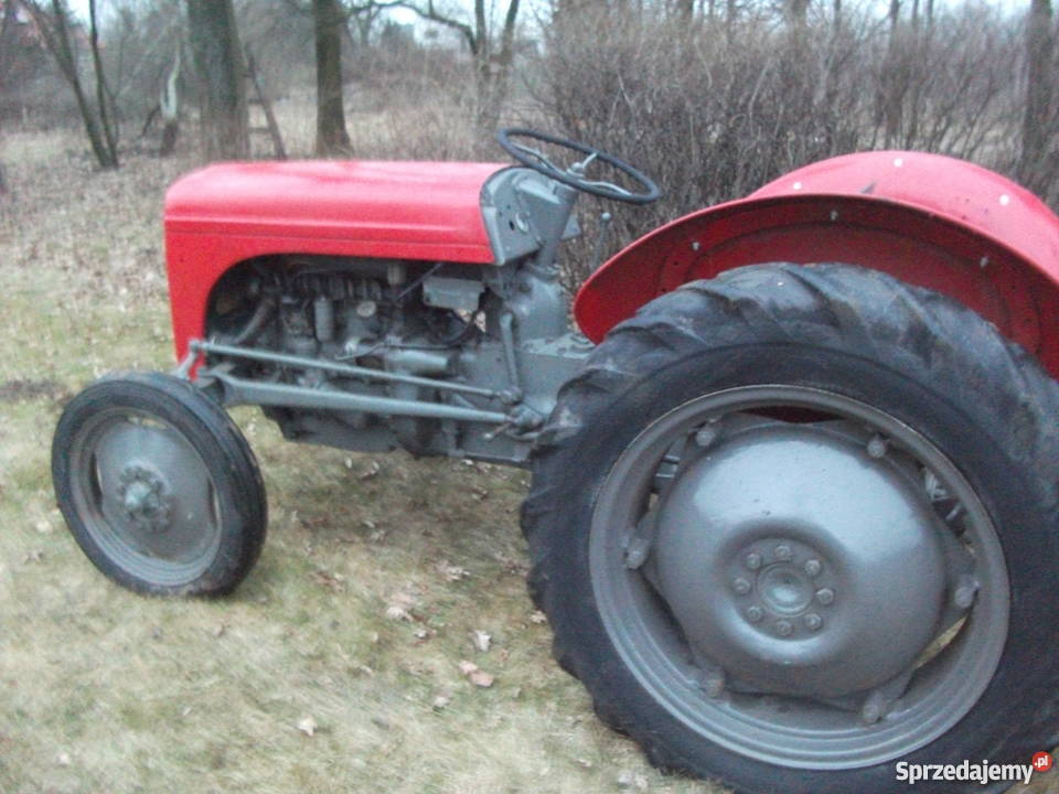 Ferguson 31 tea 20 Łódź