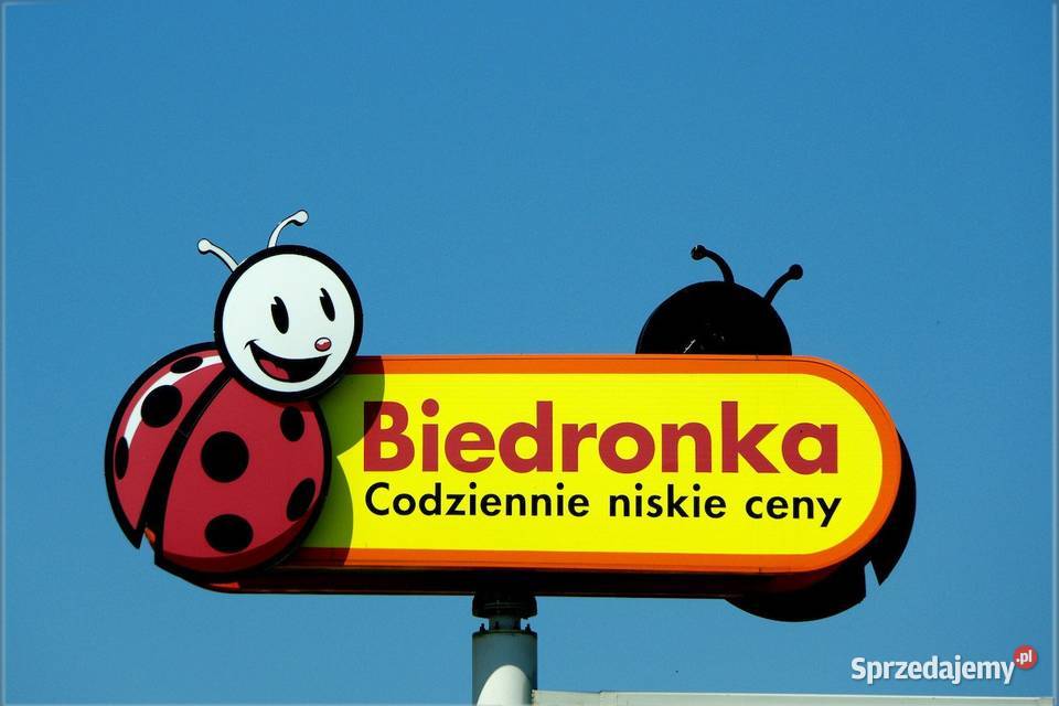 Biedronka mix najemców umowa na 15 lat Warszawa