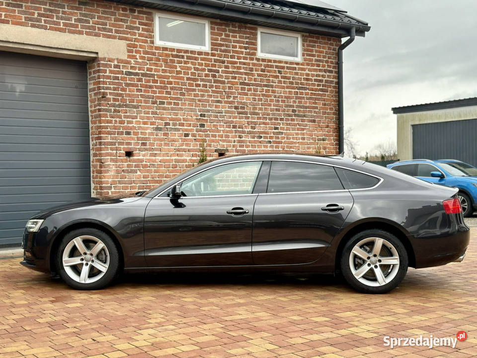 Audi A5 Zweryfikowany CarVertical 8T 20072016 Sadlno
