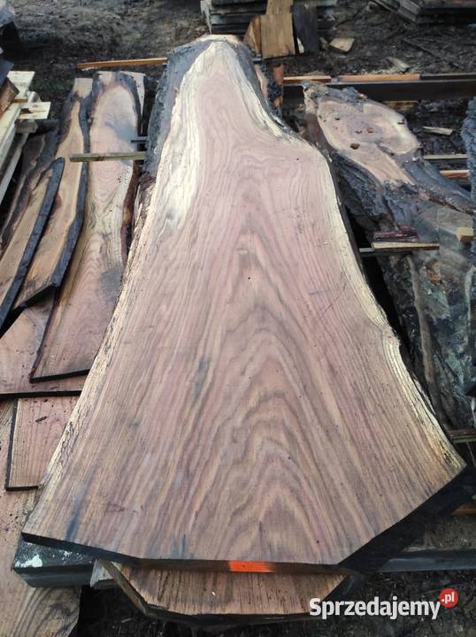 Monolit dąb 150 x75 x6 Przysucha