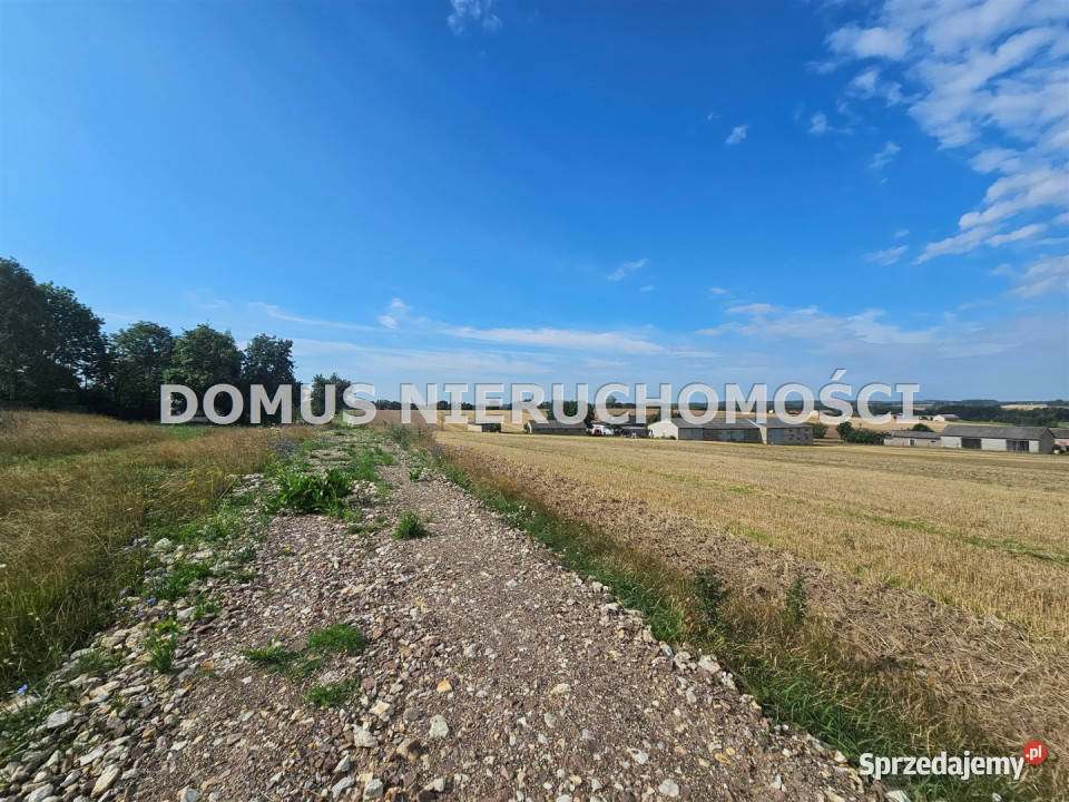 sprzedaży gruntu 3000m2 Jasień