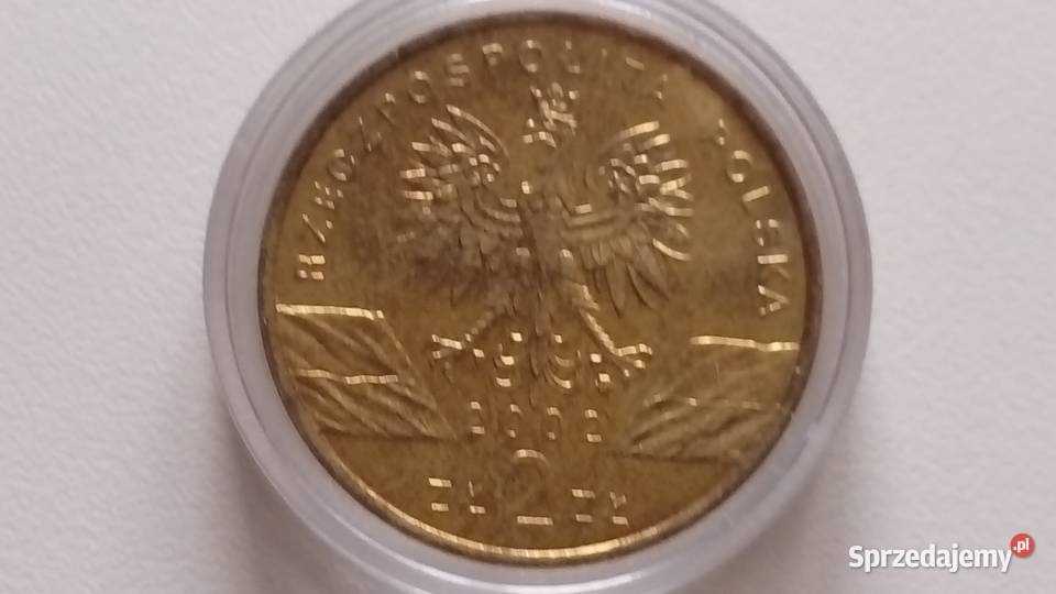 Moneta 2 2002 r Żółw błotnySeria Zwierzęta