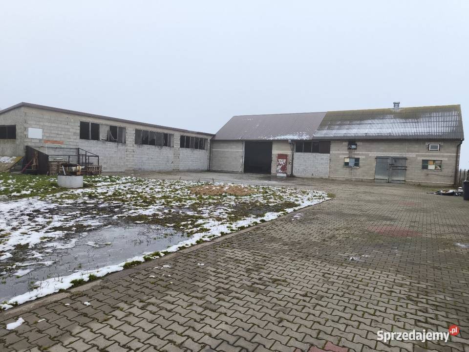 Sprzedam wynajmę budynki gospodarcze łódzkie sprzedam