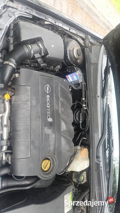 Opel Vectra C GTS 19CDTI 150 04r małopolskie