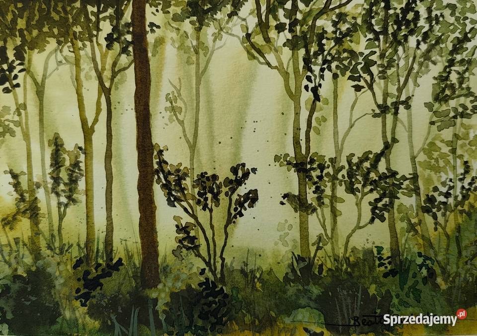 Akwarela Akwarelka Obraz pt Pomiędzy drzewami