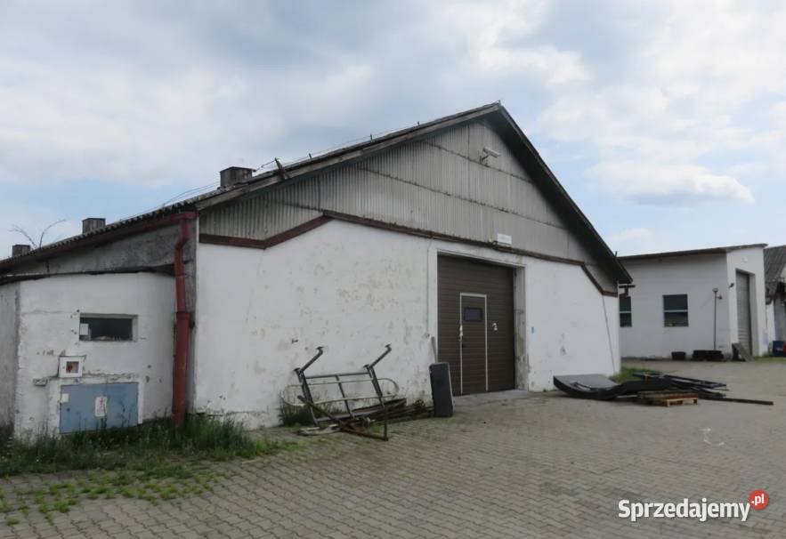 Syndyk sprzeda budynki urządzenia prawo lubuskie Gubin
