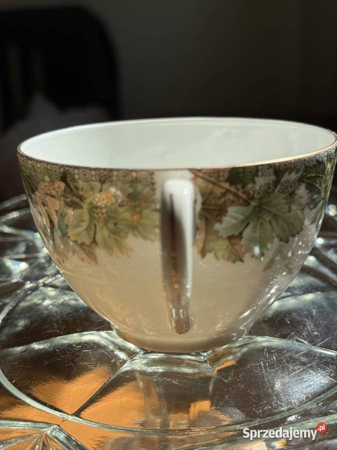 Filiżanka CT Altwasser