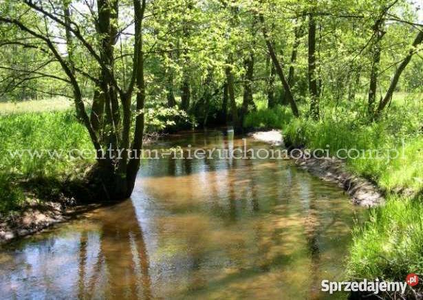 Działka rolnobudowlana Osęczyzna 4700m2 Osęczyzna sprzedam