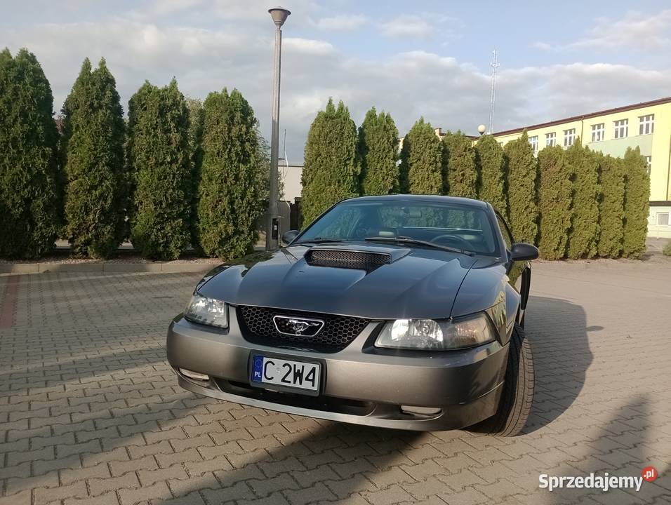 Ford Mustang GT 46 v8 Super stan skórzana tapicerka Skępe