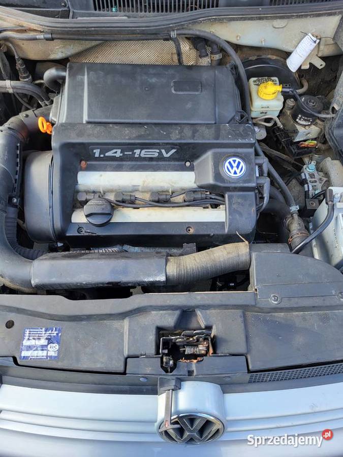 Golf 4 zachodniopomorskie Barwice