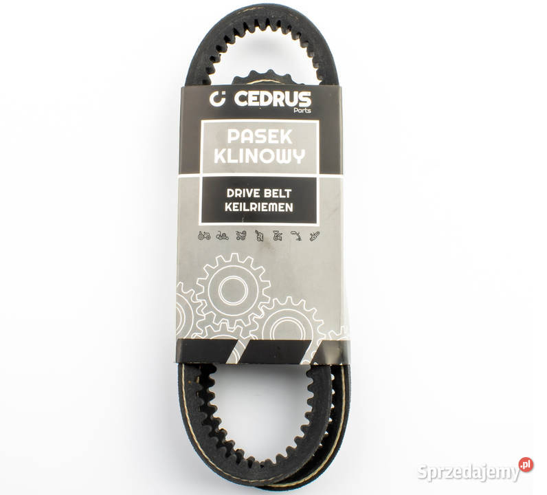 PASEK KLINOWY ZĘBATY NAPĘDOWY DO ROZDRABNIACZA Części i akcesoria Opalenica