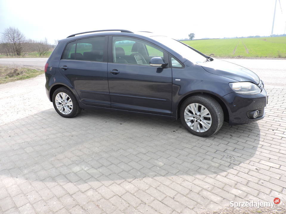 golf plus 16tdi 263000km Michów