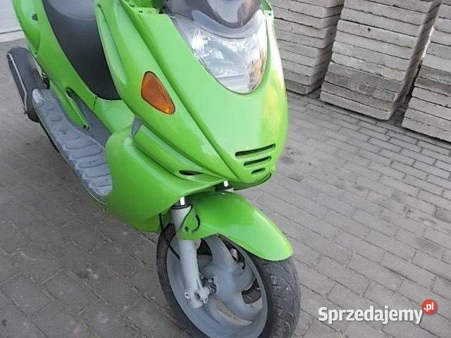 Neta Eikon Sędziszów Małopolski