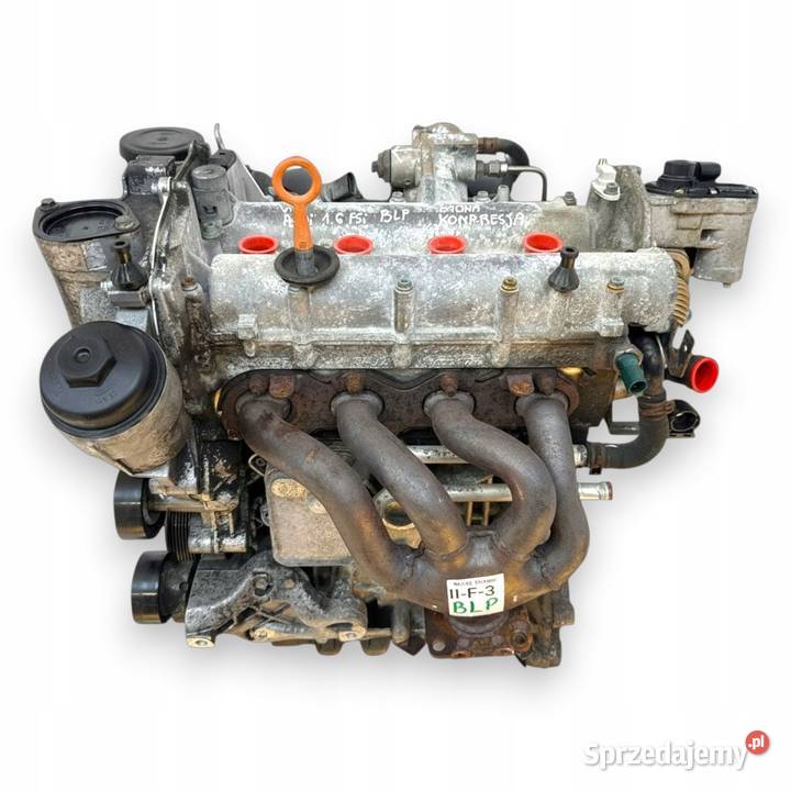 SILNIK BLP Audi A3 II 8P VW Touran Golf V 16 FSI lubelskie Chełm