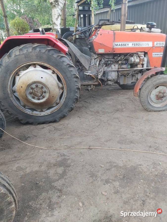 Massey ferguson 255 nie ursus Jawiszowice